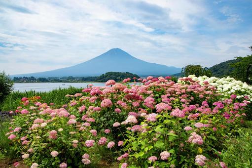 夏の富士 夏の富士 夏,大石公園,癒しの写真素材