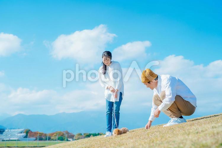 愛犬と遊ぶ男女 犬,夫婦,家族の写真素材