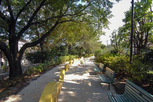 玉川上水第二公園の遊具とベンチ 玉川上水第二公園の遊具とベンチ 玉川上水第二公園,木々,遊歩道の写真素材