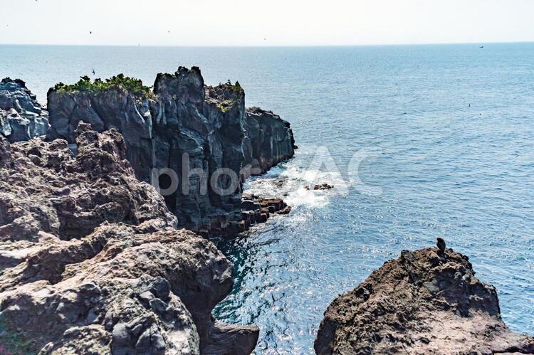 城ケ崎海岸の吊り橋（門脇灯台）4 城ケ崎海岸,吊り橋,つり橋の写真素材