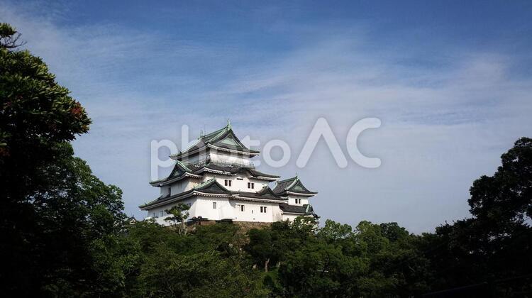 和歌山城　遠景 城,和歌山城,青空の写真素材