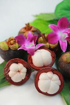 Photo, mangosteen, fruit, tropical fruits, 