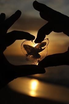 ハート画像 ハート画像の写真