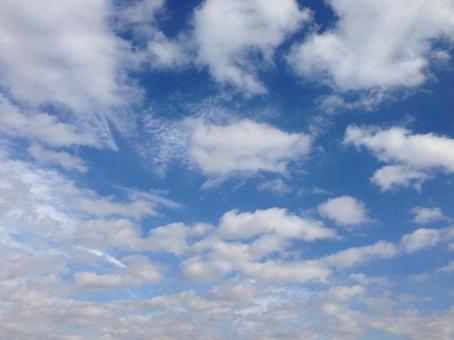 高積雲の風景 空,雲,高積雲の写真素材