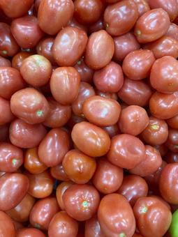 大量のトマト 大量のトマトの写真