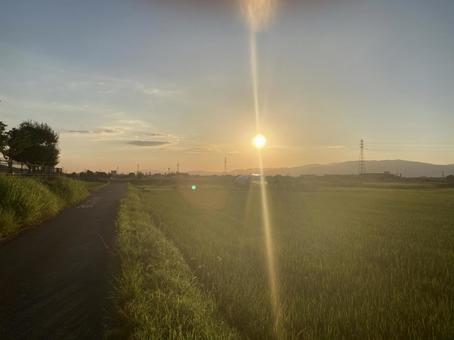 Sunset (side), JPG
