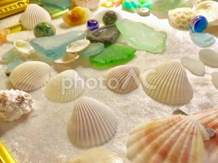 貝殻とかガラスとか ホタテ貝,種類,貝殻の写真素材