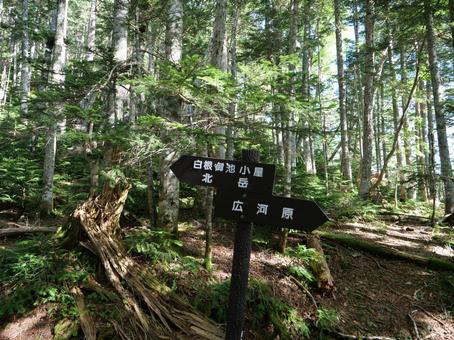 北岳登山道の道標 北岳登山道の道標の写真