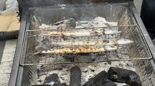 秋の魚 さんま バーベキューの炭焼き 秋の魚 さんま バーベキューの炭焼き さんま,秋刀魚,秋の写真素材
