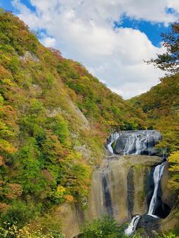 滝と紅葉（茨城県、袋田の滝） 紅葉,秋,自然の写真素材
