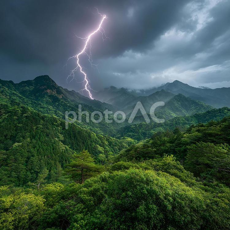 深緑の山々に落ちる稲妻の瞬間 雷,稲妻,雷雨の写真素材