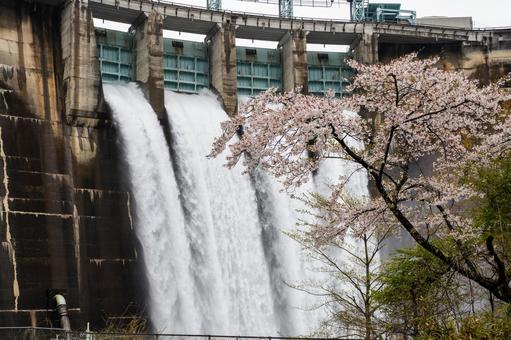 Photo, dam, okura dam, water, 