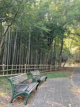 無人のベンチ ベンチ,無人,竹林の写真素材