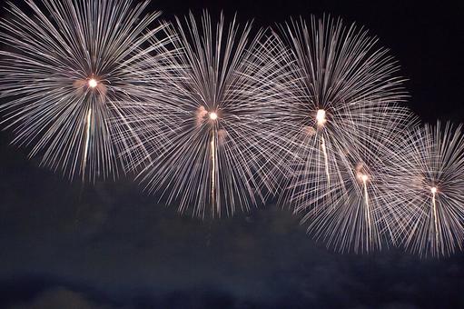 25年長岡まつり 花火 25年長岡まつり 花火 夜空,花火,風景の写真素材