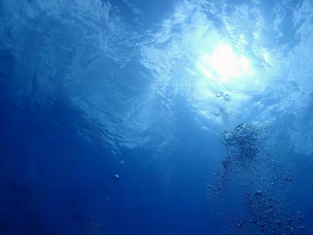 沖縄の海　ダイビング ダイビング,海,青い海の写真素材