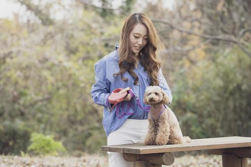 Woman walking in the park with her pet, a pet, female, toy poodle, JPG