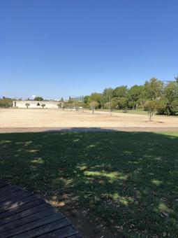 熊本の公園 熊本の公園の写真