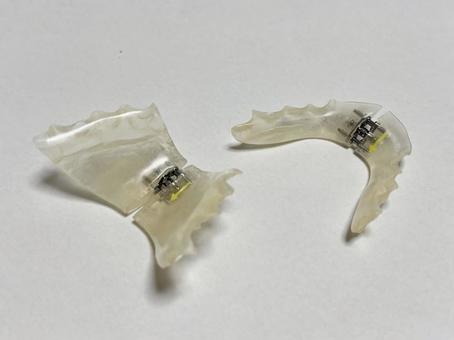 拡大床上下 拡大床上下 拡大床上下,歯科矯正,拡大床だけの写真素材