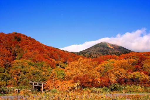 酸ケ湯_温泉_紅葉_八甲田_秋_晴天 紅葉,八甲田,山の写真素材