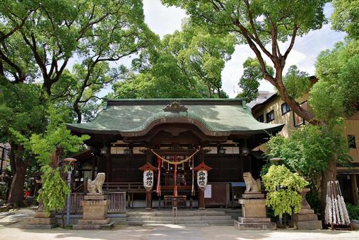 昭和の雰囲気を残す町角の神社にて 八坂神社,拝殿,狛犬の写真素材