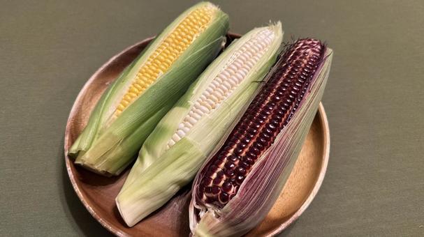 収穫仕立ての3種のトウモロコシ とうもろこし,コーン,フレッシュの写真素材