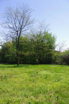 ナチュラルガーデン ナチュラルガーデンの写真