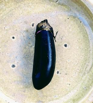 eggplant, JPG eggplant, JPG