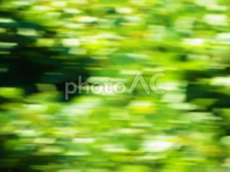 スピードの中のグリーン　イメージ画像 グリーン,スピード感,自然の写真素材
