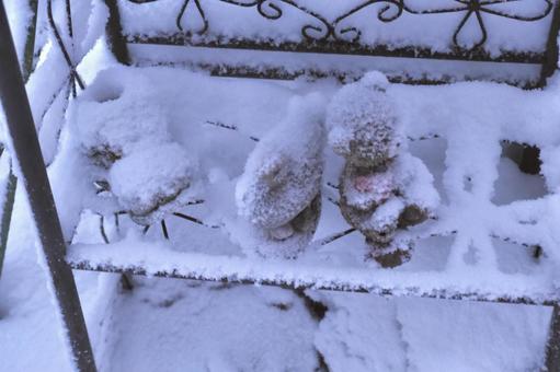雪景色 雪景色の写真