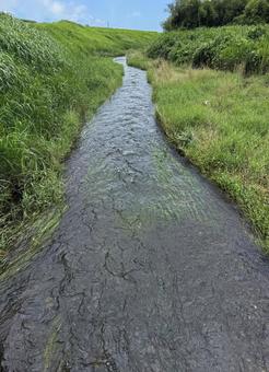 津屋川の流れ 津屋川の流れ 津屋川,小川,河川の写真素材