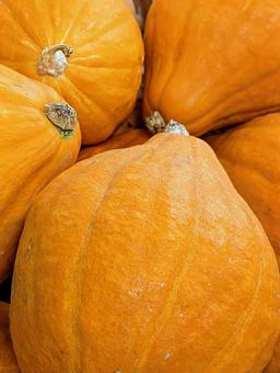 ハロウィンかぼちゃ⑤ ハロウィンかぼちゃ⑤の写真