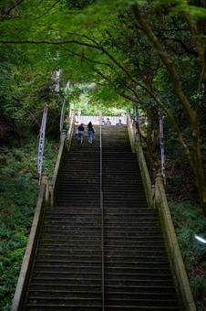 狸谷山不動院の健康階段 狸谷山不動院の健康階段 階段,道,木陰の写真素材