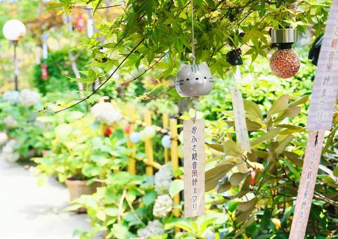 奈良 おふさ観音 奈良 おふさ観音 奈良,おふさ観音,風鈴寺の写真素材