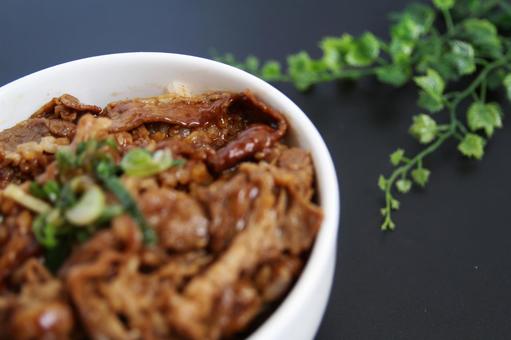 牛丼のアップ写真 牛丼のアップ写真 牛丼,丼ぶり,牛肉の写真素材
