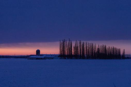 Farm and windbreak forest glowing in the morning glow, JPG