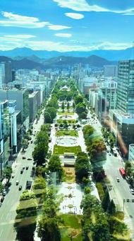 Photo, chase park, sapporo, urban landscape, 