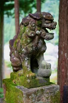 右を向く狛犬 狛犬,神社,木の写真素材