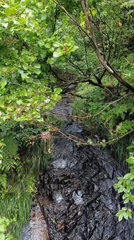 枝折峠途中にある小さな滝と小川 滝,小川,風景の写真素材