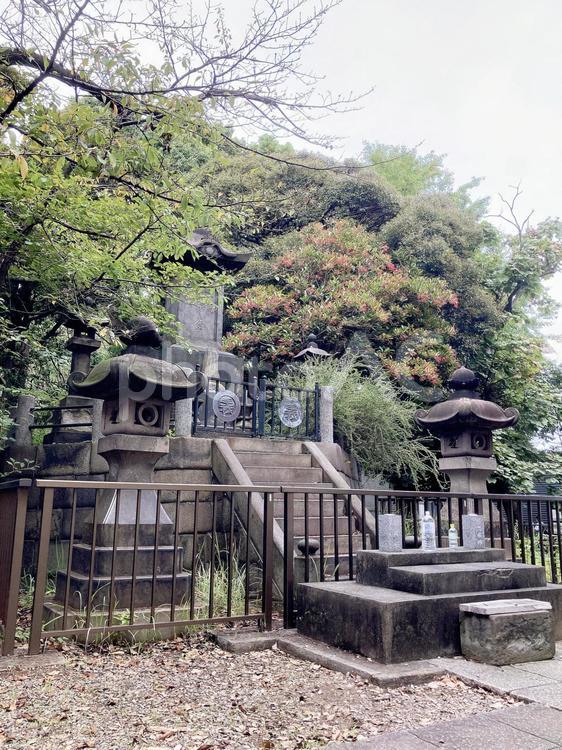 東京風景・上野公園 上野公園,上野恩賜公園,彰義隊墓所の写真素材