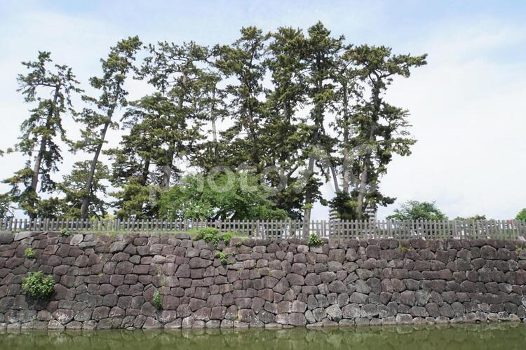小田原城の堀 堀,石垣,小田原城の写真素材