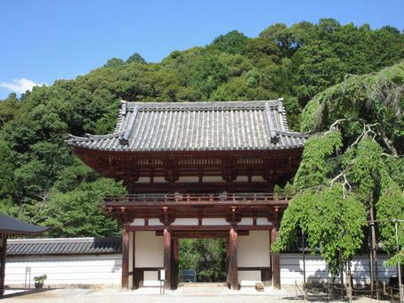 大阪府-金剛寺-楼門-境内側 大阪府-金剛寺-楼門-境内側の写真