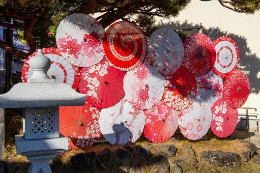 仙台八坂神社(32) 神社,仙台八坂神社,晩秋の写真素材