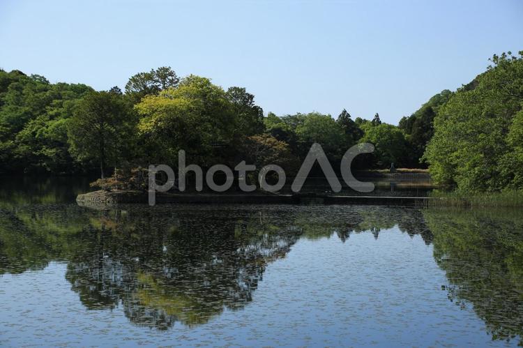 兵庫県姫路市　州濱神社 州賓神社,神社,樹木の写真素材