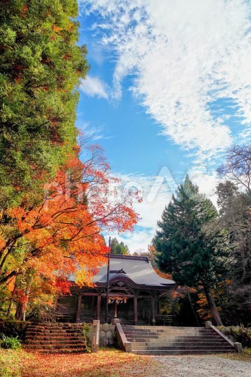 島根・奥出雲の稲田神社と紅葉 稲田神社,奥出雲,紅葉の写真素材