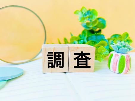 調査します! 調査します!の写真