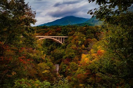 宮城県　鳴子峡の秋の風景 宮城,宮城県,大崎市の写真素材
