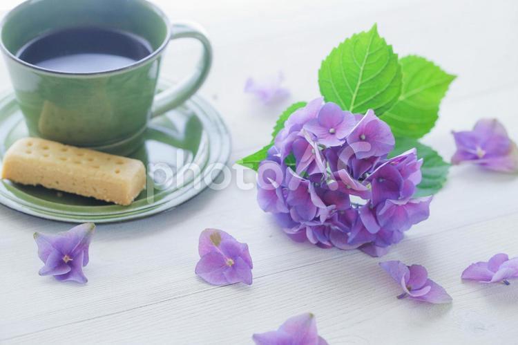 雨の日はおうちカフェ気分で 梅雨,雨,紫陽花の写真素材
