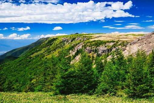 八ヶ岳連峰の美ヶ原高原の王ヶ頭 八ヶ岳連峰の美ヶ原高原の王ヶ頭 八ヶ岳,美ヶ原,美ケ原高原の写真素材