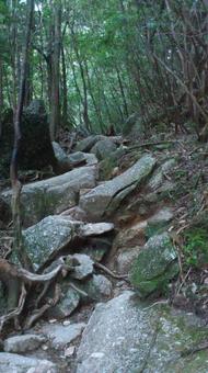 Hiking trails, JPG Hiking trails, JPG