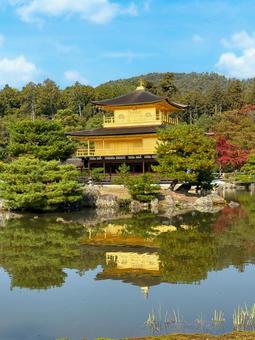 金閣寺/京都/秋/縦 金閣寺/京都/秋/縦 金閣寺,紅葉,秋の写真素材